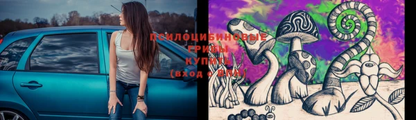 сатива Бронницы