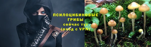 эйфоретик Бугульма