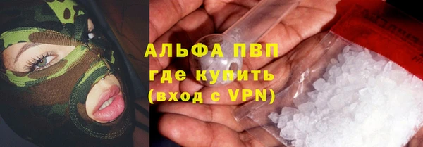 сатива Бронницы