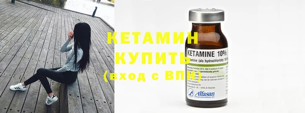 сатива Бронницы
