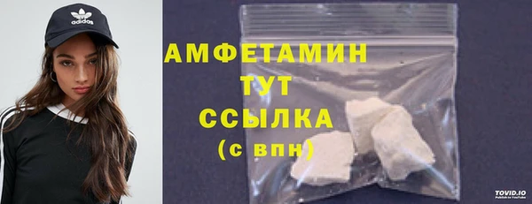 сатива Бронницы