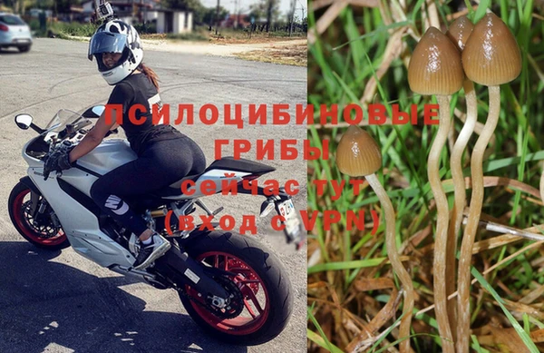 бутират Бородино