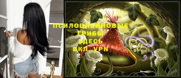 бутират Бородино