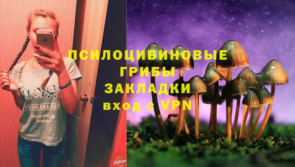 бутират Бородино