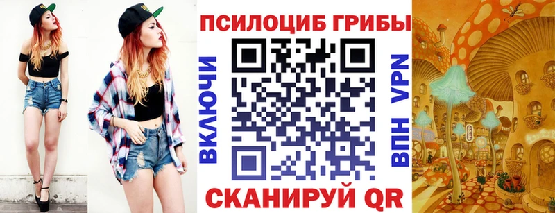 Купить где  Весьегонск  Псилоцибиновые грибы MAGIC MUSHROOMS 
